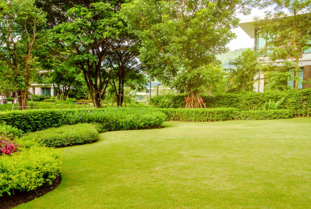Garden Area